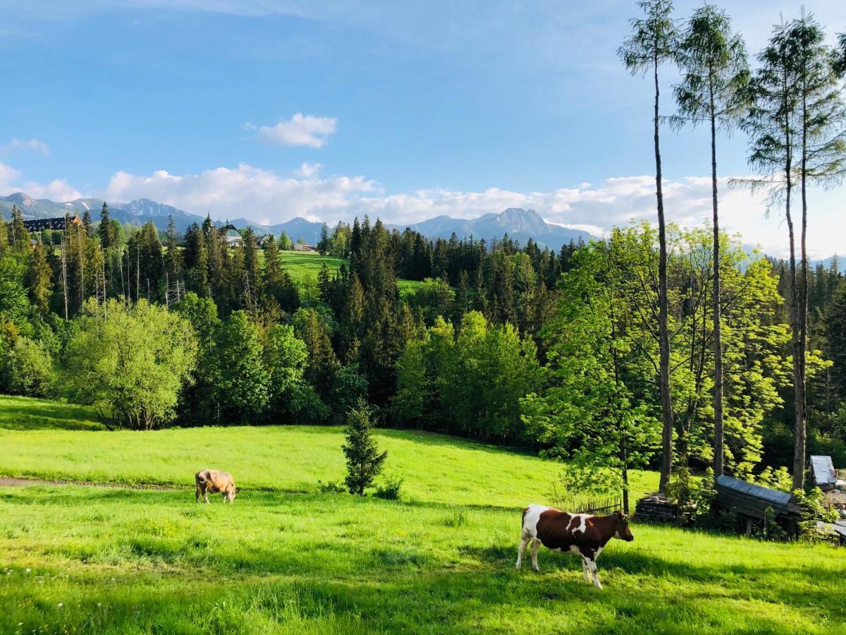 Appartamento Tatrzanska Polana 5F Zakopane Esterno foto
